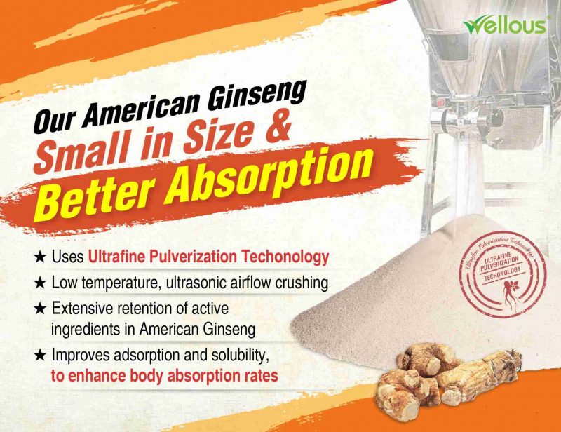 American Ginseng - Image 11