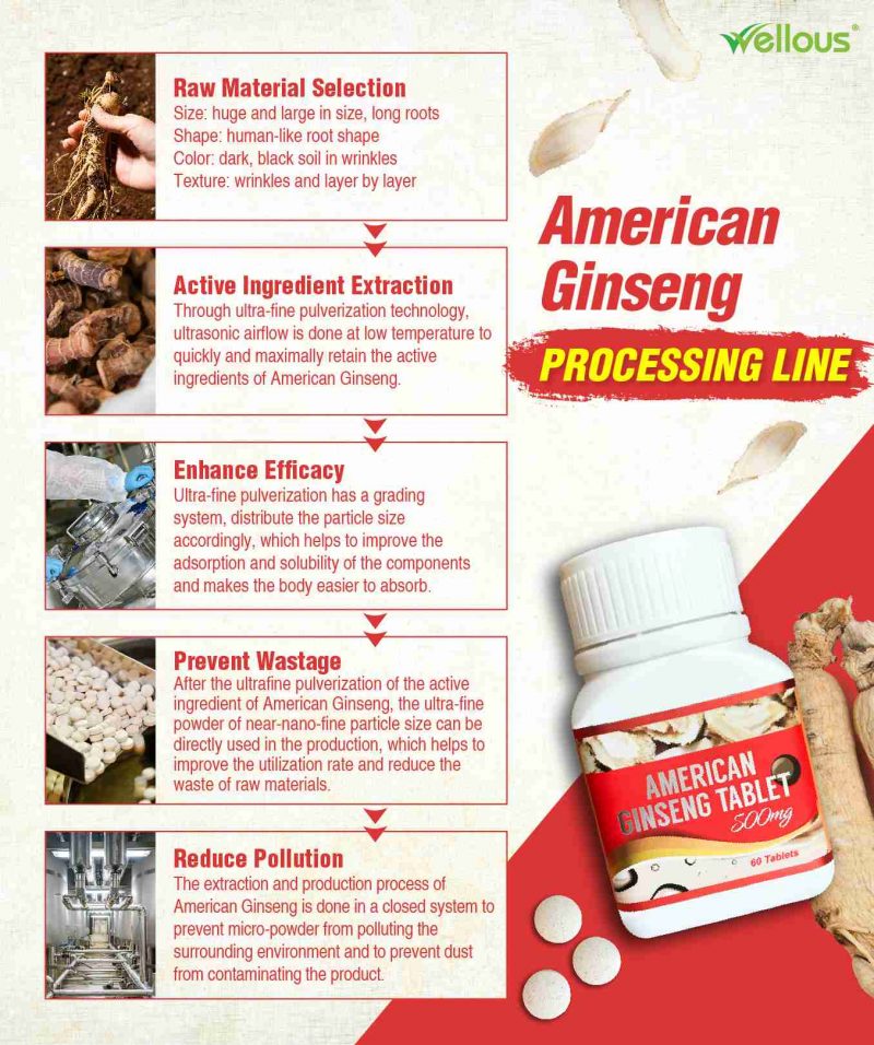 American Ginseng - Image 13